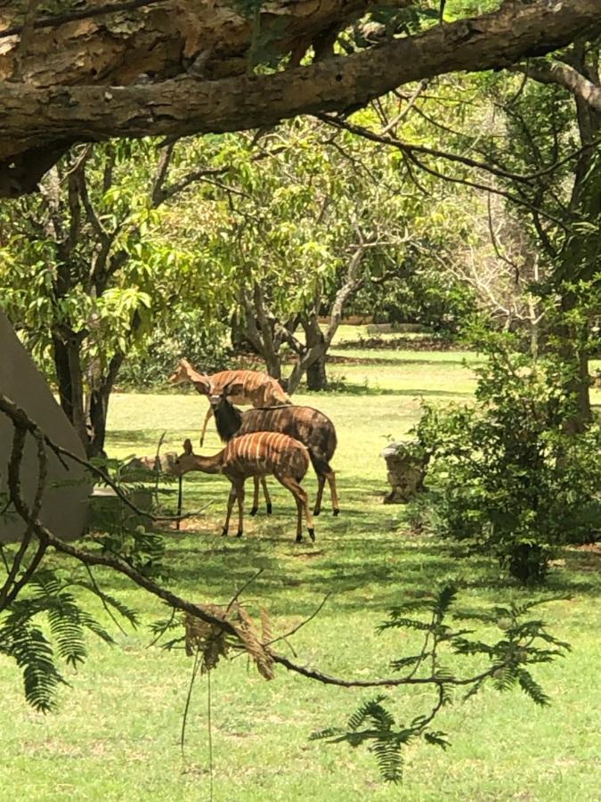 Jock Of The Bushveld Hotel Барбертън Екстериор снимка